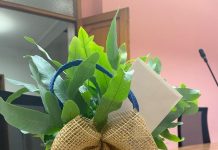 IL Comune di Roverbella ha donato una pianta a tutte le classi