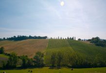 Agriturismo, strutture in aumento anche nel 2020
