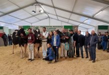 Bilancio positivo per Bovimac. Si pensa ad ampliare la fiera