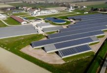 Fotovoltaico per le imprese agricole: Confagricoltura e Cgbi presentano le opportunità di investimento