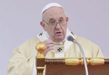 Papa “C’è chi non vuole figli ma ha cani e gatti”