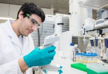 Anemia falciforme, una terapia per prevenire le crisi vaso-occlusive