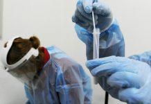 Covid, 77.696 nuovi casi e 352 decessi nelle ultime 24 ore