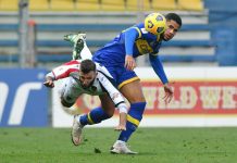 Calcio Serie C – Mantova, preso il centrocampista Bruccini. Zappa e Zibert vanno alla Vibonese
