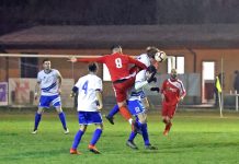 Calcio dilettanti – Mantovane al lavoro, ma quante incognite