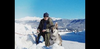 21°) I cani sulla neve