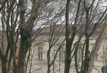 Senza strisce blu, le auto parcheggiano sui “panettoni”