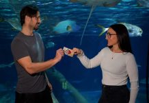 Gardaland SEA LIFE Aquarium si tinge di leggenda con l’arrivo delle sirene