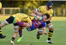 Rugby Top 10 – Viadana, morale alto dopo Piacenza. Sirene Pumas per coach Fernandez