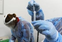 Covid, 72.568 nuovi casi e 137 decessi