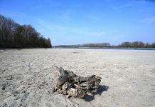 Il Po maì così basso: e i consorzi di bonifica devono correre ai ripari