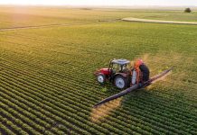 Mercato fondiario in ripresa ma non in tutta la provincia