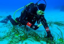 Tutela dei mari, al via il progetto “Save the wave” di E.ON e Ioc-Unesco