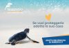 Riparte la campagna nazionale di Marevivo “Adotta una spiaggia”