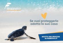 Riparte la campagna nazionale di Marevivo “Adotta una spiaggia”