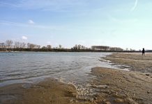 La siccità spinge in alto i prezzi del foraggio e allunga i tempi del raccolto