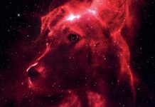 Giornata della Cosmonautica e dell’uomo nello spazio