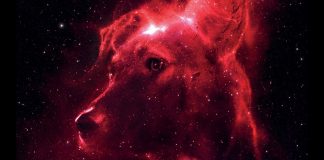 Giornata della Cosmonautica e dell’uomo nello spazio