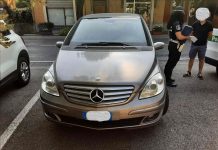 Scappa alla padrona e finisce sotto un’auto, morto un cagnolino