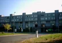 Piccioni nel bar, carne mal conservata nella macelleria. Chiusura e sanzioni per due attività a Lunetta