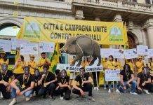 Peste suina, Coldiretti: a rischio 4 salumi su 5, abbattere cinghiali