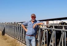 Come gestire un allevamento da latte in tempo di crisi: la ricetta del professor Michele Campiotti