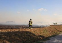 A fuoco due campi di grano. Allerta meteo per temporali nel pomeriggio