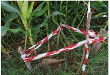 San Giorgio – “Doppio” boato: fatte brillare due bombe della Seconda guerra 1