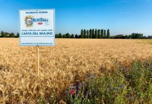 Barilla, continua a crescere l’impegno per la sostenibilità