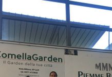 Nuoto – La pattuglia Asola in luce ai Regionali: Giulia Marchi oro e record nei 100 sl giulkia