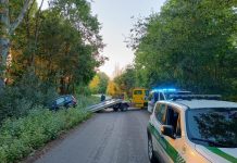 Ubriaca fuori strada con l’auto: patente ritirata a una 48enne denunciata per guida in stato di ebbrezza