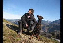 Coraggio e combattività sono le qualità del Terrier