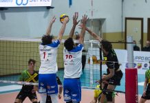 Volley Serie B maschile – Serafini: “Gabbiano pronto per un altro campionato di alto livello”