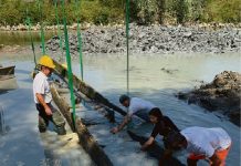 Secca dell’Oglio: anche ad Acquanegra spuntano antiche piroghe piro