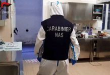 A Ferragosto il 20% delle Rsa irregolari, blatte e operatori ubriachi