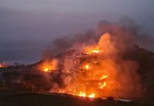 Vasto incendio a Pantelleria, in fuga vip e turisti