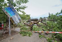 Maltempo, da Intesa Sanpaolo 1 mld a famiglie e imprese colpite