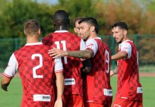 Calcio Serie C – Buon potenziale, ampi margini: così il Mantova si affaccia al campionato