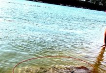 Vertice in questura per la bomba di Motteggiana. Area interessata off limits dalle 8 di domenica