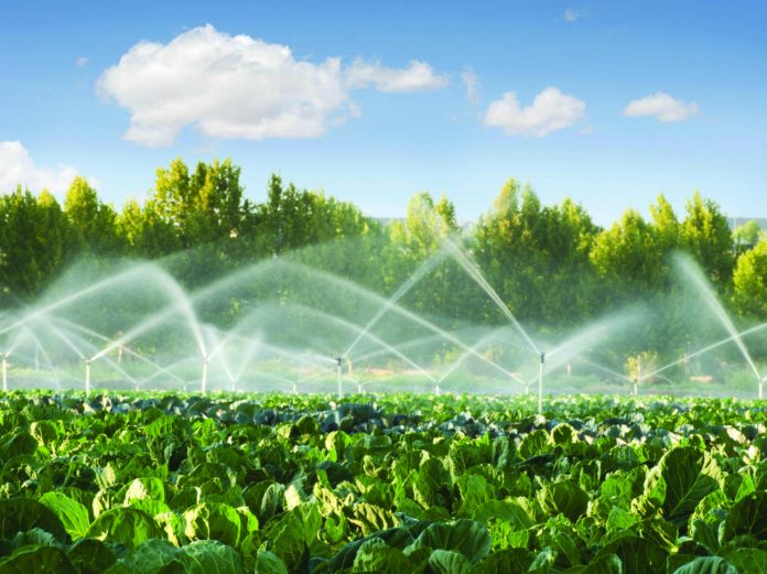 Depositphotos_13526858_Irrigazione-per-aspersione