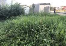 Sporcizia e bici rubate: in stazione a Gonzaga va sempre peggio