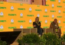 Meloni “Se chiamati a governare daremo risposte immediate ed efficaci”