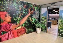 Coltivazione di caffè più green, Nestlè lancia il Nescafè Plan 2030