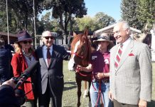 Salute mentale, il viaggio del cavallo Persano fa tappa a Roma