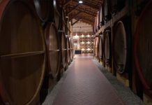 Imprese, con la formazione continua crescono gli investimenti