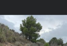 Automobilismo – Solferino Pecso protagonista in Formula Driver Msp Strabello e Bianchi al Rally di Spagna