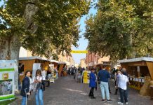 Fiera del Grana Padano dei prati stabili: successo da 10 e lode