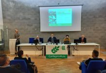 Carne tradizionale versus carne sintetica, Confragricoltura porta il dibattito a Bovimac