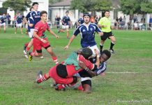 Rugby serie C – Mantova, match verità col Cus Pavia. Il Chiese chiude con Crema