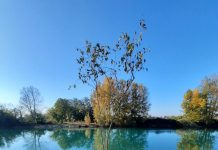 A dimora 19 nuovi alberi a Pozzolo sul Mincio